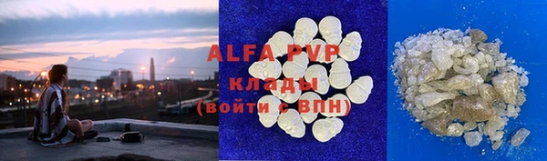 СК Алексин