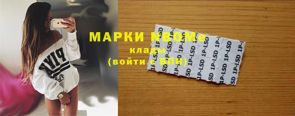 СК Алексин