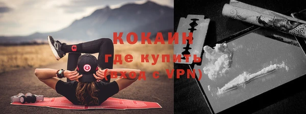 СК Алексин