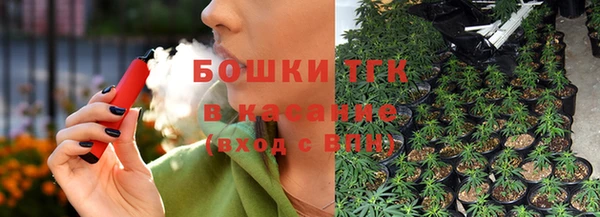 СК Алексин