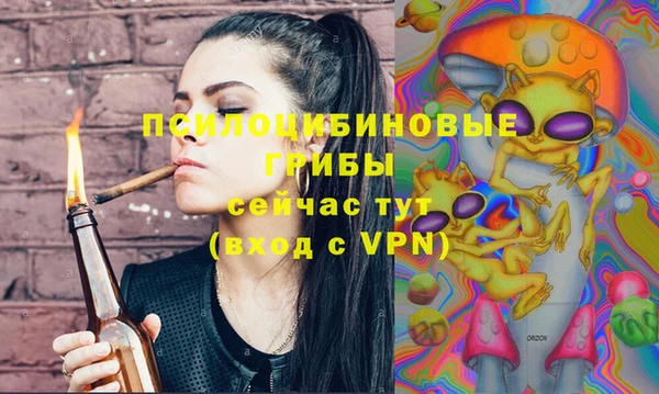 СК Алексин