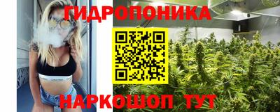 мяу мяу мука Баксан