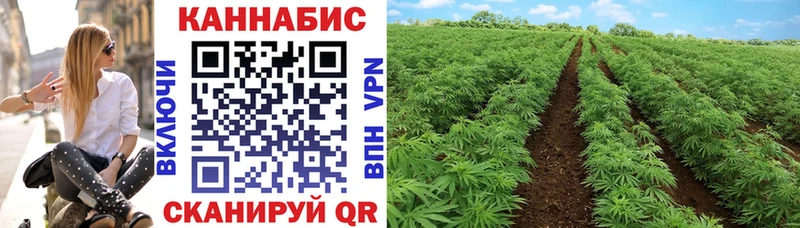 Бошки марихуана VHQ наркотики Анапа